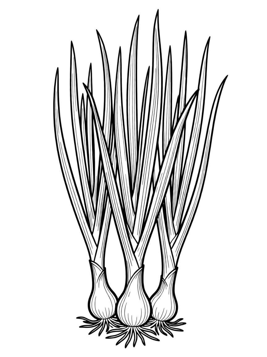 A scallion plant with long green shoots