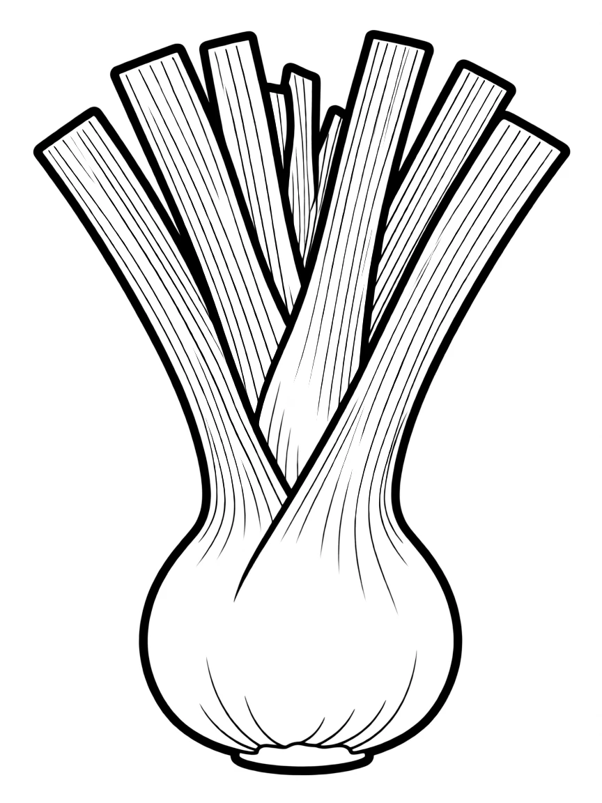 A leeks plant with thick white base and tall green tops