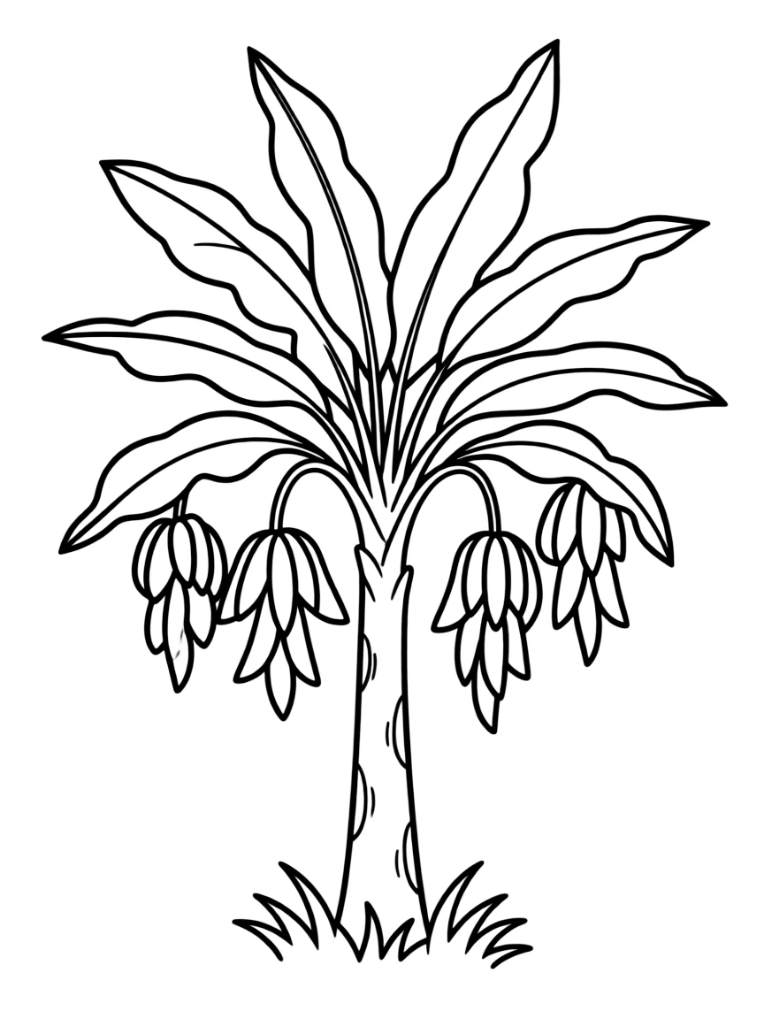 A plantain tree with green fruit like bananas