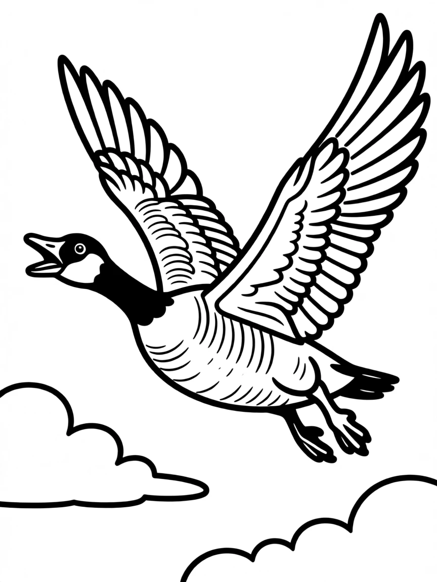 A honking Canada goose in flight