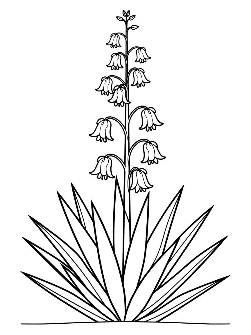 (Arizona) An agave plant in bloom