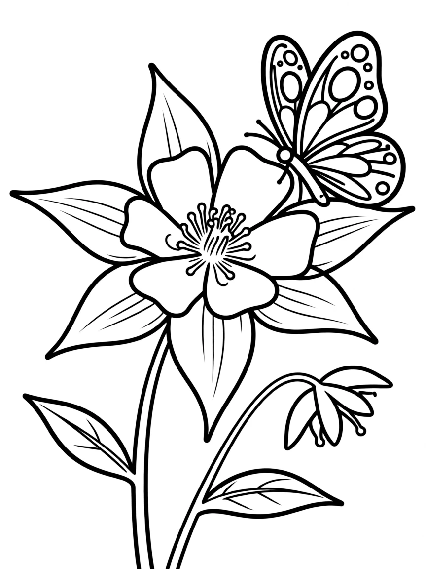 (Colorado) A butterfly on a Colorado columbine flower