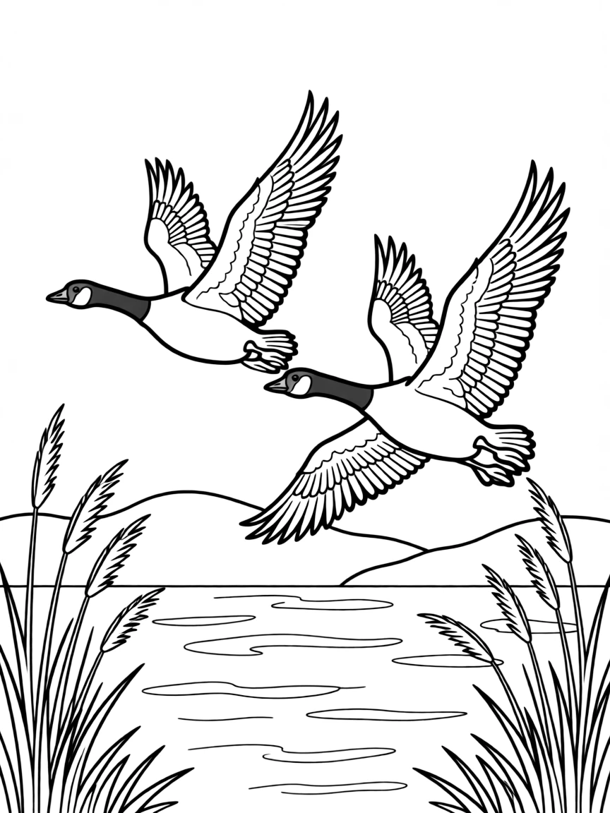 (Canada) A pair of Canada geese flying over a lake