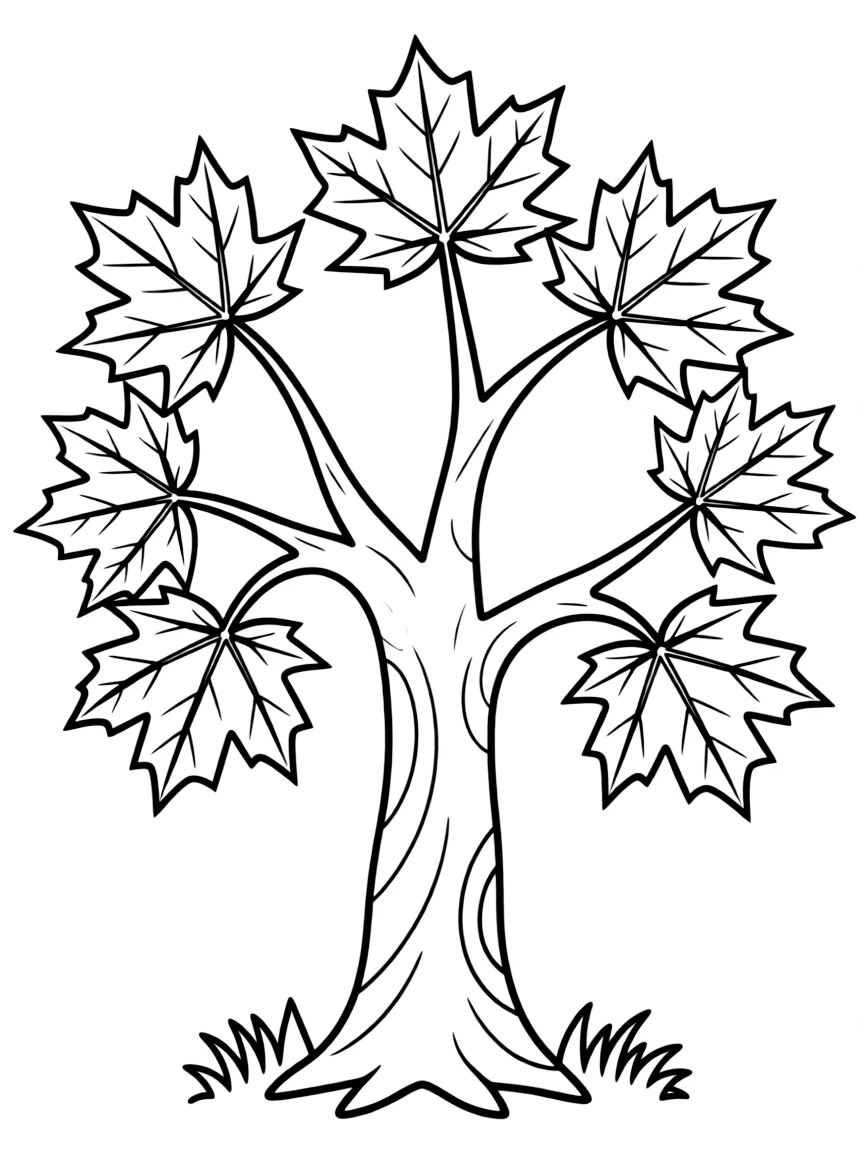 A maple tree